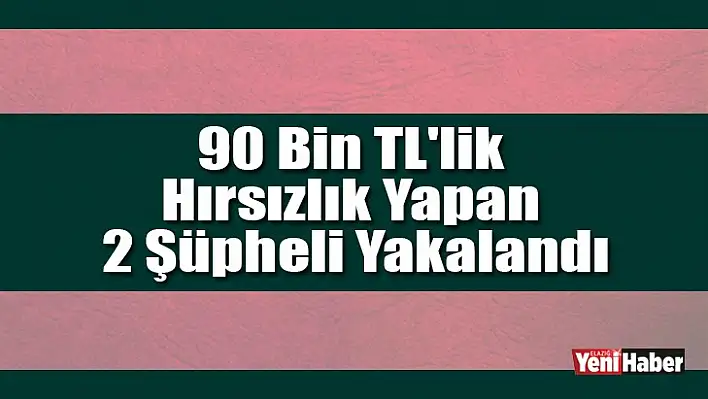 90 Bin TL'lik Hırsızlık Yapan 2 Şüpheli Yakalandı