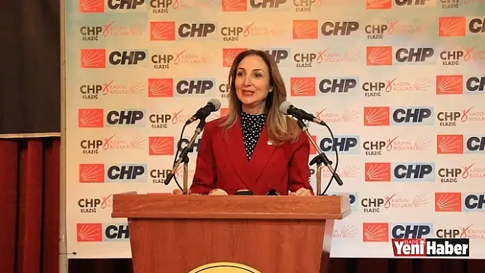 CHP Kadın Kolları Genel Başkanı Aylin Nazlıaka, Elazığ'a Geldi