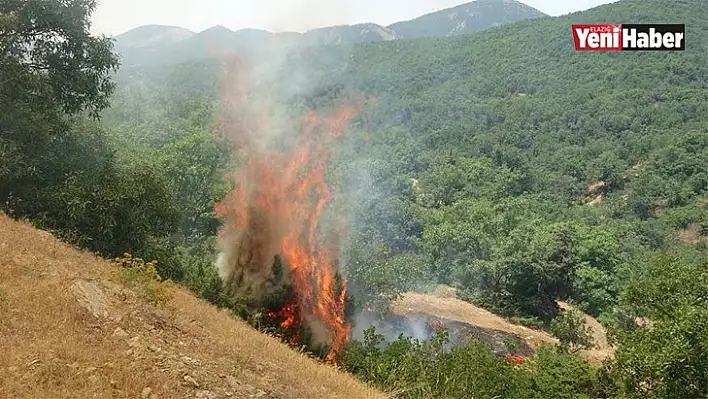 Elazığ Sınırındaki Orman Yangını Söndürülmeye Devam Ediyor!