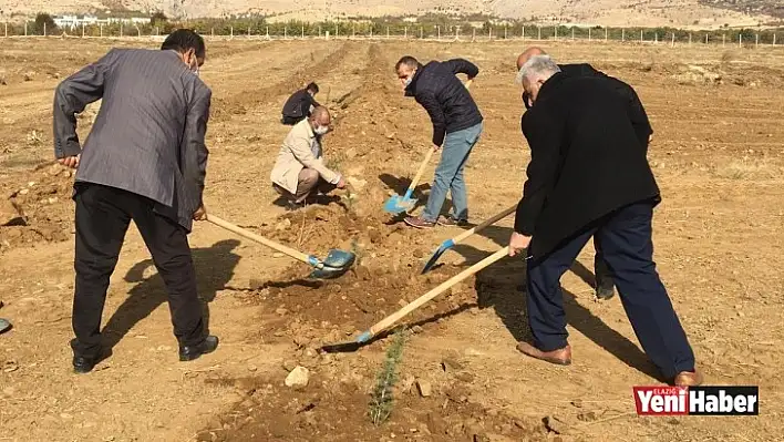 Baskil MYO Kampüsüne 2 Bin 160 Fidan Dikildi!