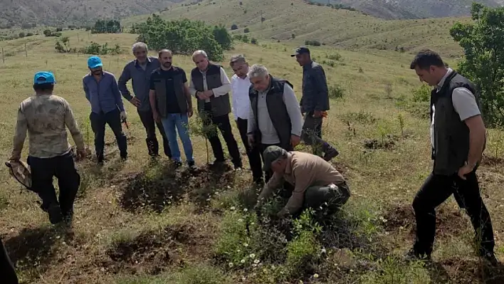 Beyhan'da Ağaçlar Toprakla Buluştu