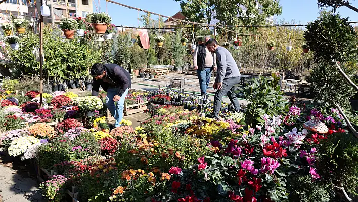 'Biz Utanıyoruz, Hırsızlar Utanmıyor''