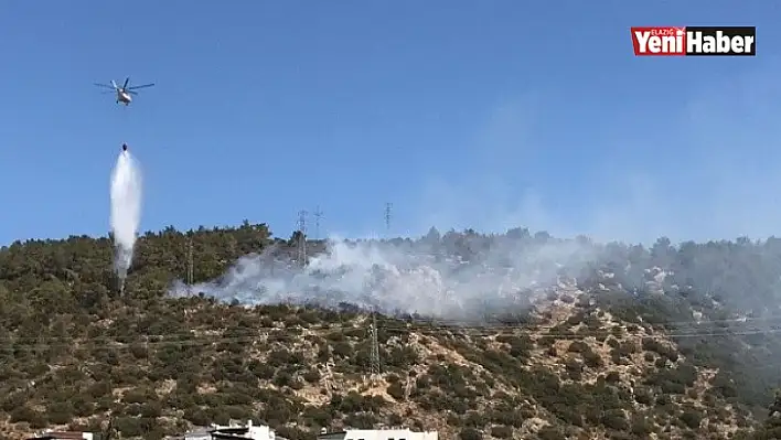 Bodrum'da Ormanlık Alanda Yangın!