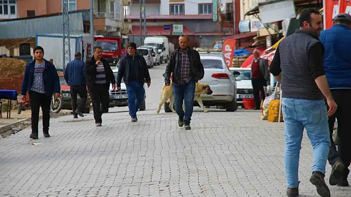 Depremin ardından vatandaşlar bu ilçeye akın etti