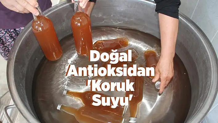 Doğal Antioksidan 'Koruk Suyu'