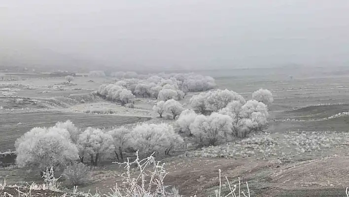 Elazığ'a Adeta Kar Yağmış Gibi...