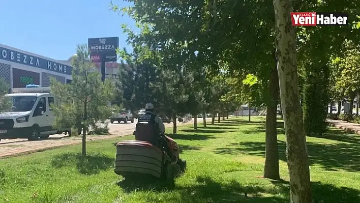 Elazığ Belediyesi Çim Biçme Çalışmalarını Sürdürüyor