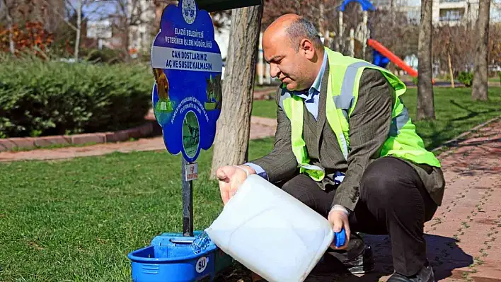 Sokak Hayvanlarını Unutmadı