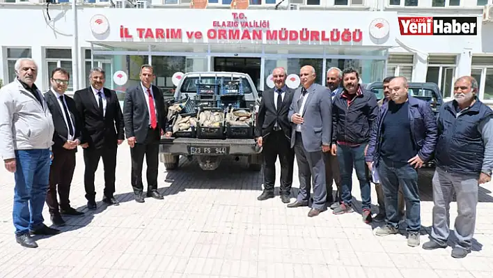 Elazığ'da 1 ton 150 kilogram kaçak avlanan balık yakalandı