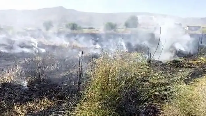 Elazığ'da 10 dönüm tarım arazisi yandı