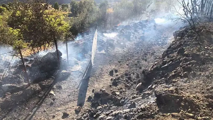 Elazığ'da Ağaçlık Alanda Yangın