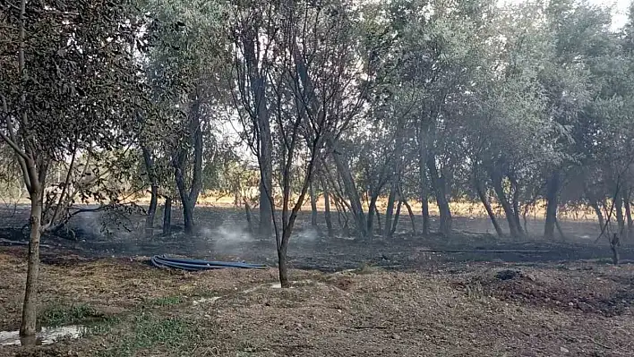 Elazığ'da Korkutan Yangın