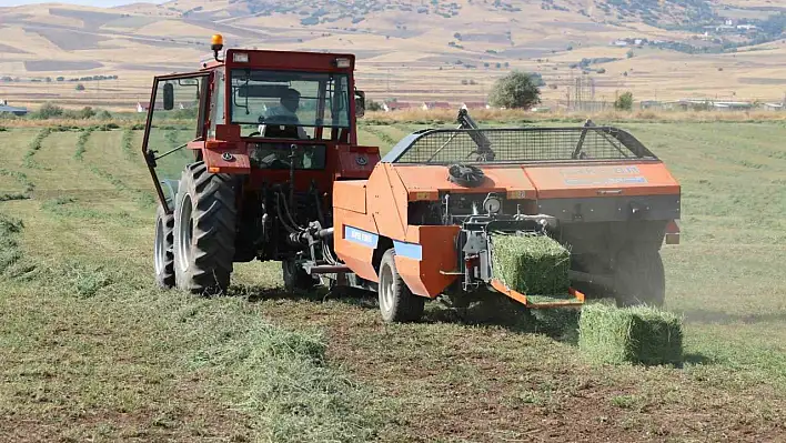 Elazığ'da Yonca Hasadı Başladı