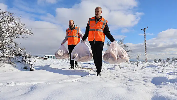 Elazığ'da Doğaya Yem Bırakıldı