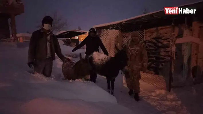 Elazığ'da donmak üzere olan hayvanlar kurtarıldı