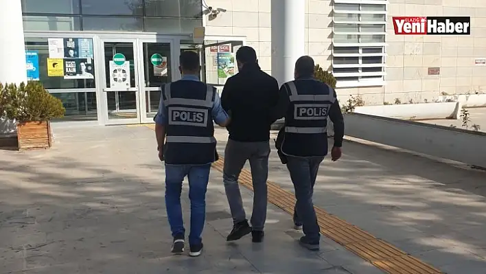 Elazığ'da ev ve otomobil faresi yakalandı