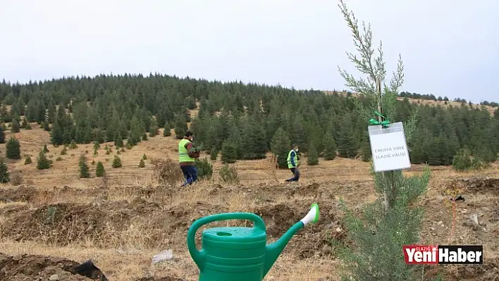 Elazığ'da Fidanlar Toprakla Buluştu