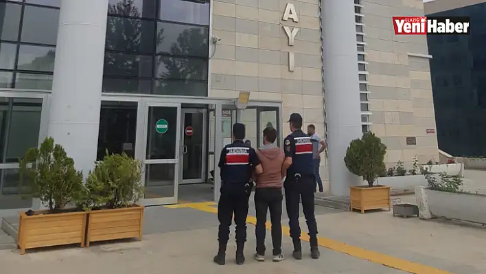 Elazığ'da hırsızlık suçundan aranan şüpheli jandarma ekipleri tarafından yakalandı