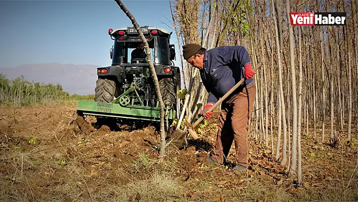 Elazığ'da İki Milyon Fidan Toprakla Buluşacak