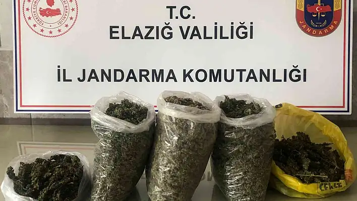 Zehir Tacirlerine Nefes Yok