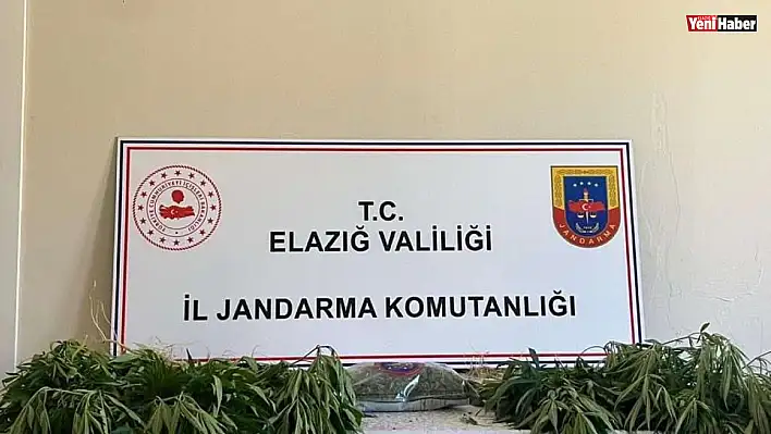 Elazığ'da jandarmadan eş zamanlı uyuşturucu operasyonu