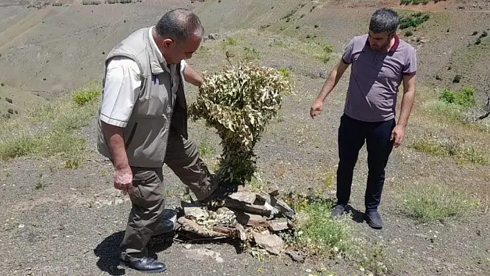 Kaçak Avcılık Denetimleri Sürüyor