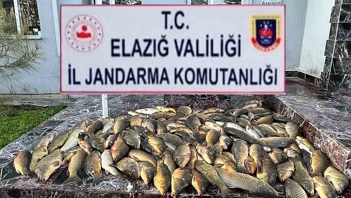 Kaçak Balık Avına Geçit Yok