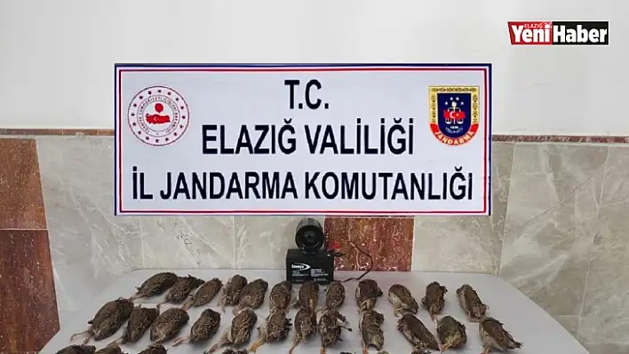 Elazığ'da Kaçak Bıldırcın Avına 8 Bin 220 Lira Ceza!