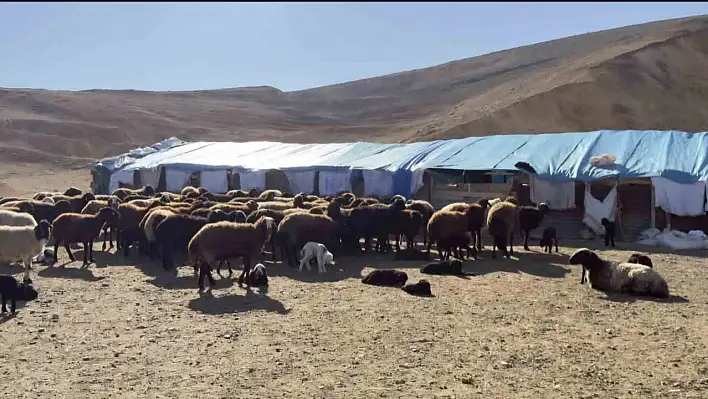 Elazığ'da 3 İlçe Karantinada!