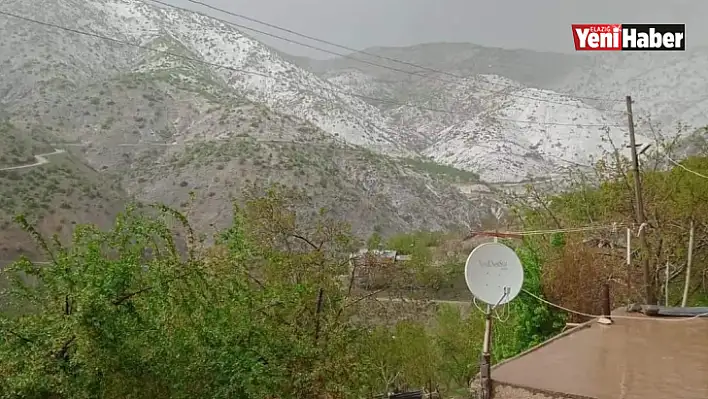 Elazığ'da kayısıyı dolu vurdu