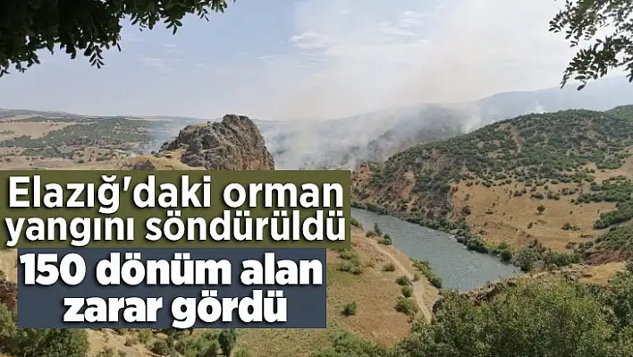 Elazığ'daki orman yangını söndürüldü, 150 dönüm alan zarar gördü