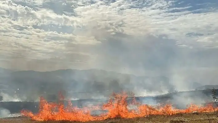 Elazığ'da korkutan anız yangını