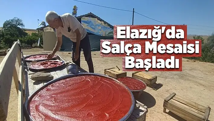 Elazığ'da Salça Mesaisi Başladı