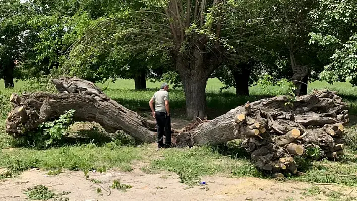 Elazığ'da Şoke Eden Görüntü!