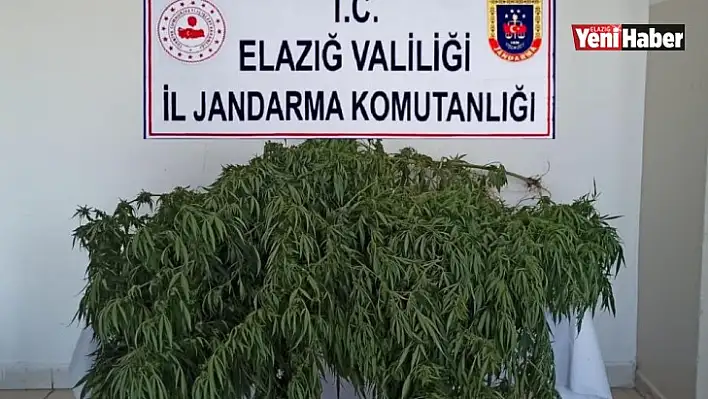 Elazığ'da Uyuşturucu Operasyonu!