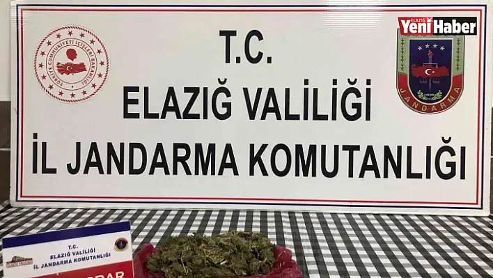 Elazığ'da uyuşturucu operasyonu: 1 gözaltı