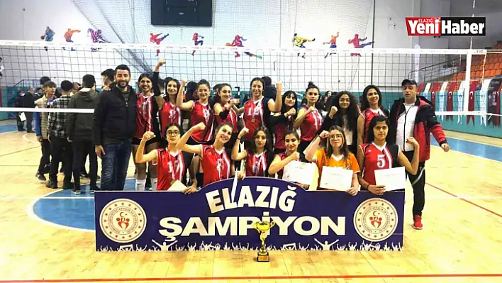 Okul Sporları Voleybol Müsabakaları Sona Erdi