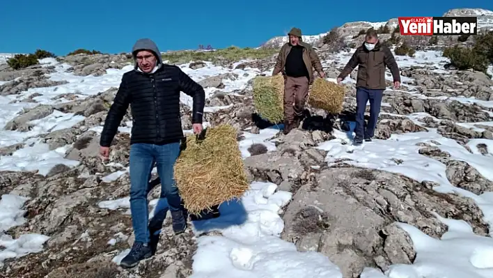 Yaban hayatı için doğaya yem bırakıldı