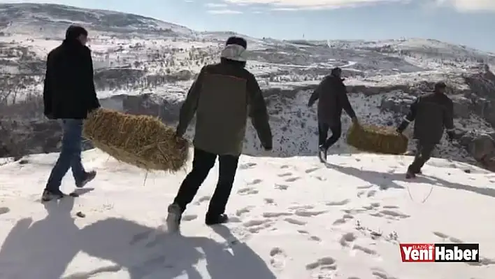 Elazığ'da Yaban Hayatı İçin Yem Desteği Sürüyor