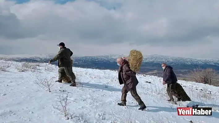 Elazığ'da Yaban Hayvanları İçin Doğaya Yem Bırakıldı