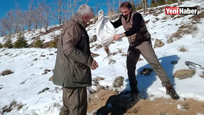 Yaban Hayvanları İçin Doğaya Yem Bırakıldı