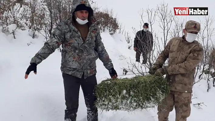 Elazığ'da yaban hayvanları için doğaya yem bırakıldı