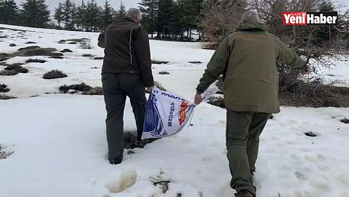 Elazığ'da Yaban Hayvanları Unutulmuyor