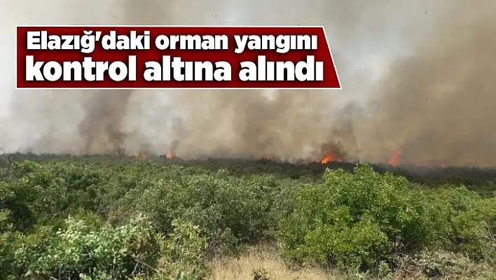 Elazığ'daki orman yangını kontrol altına alındı