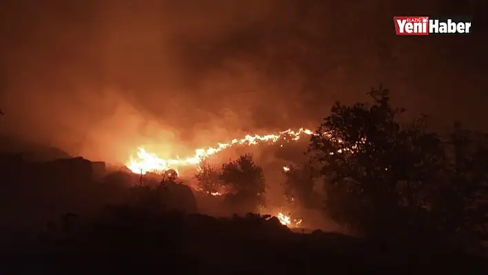 Elazığ'daki örtü yangını söndürüldü