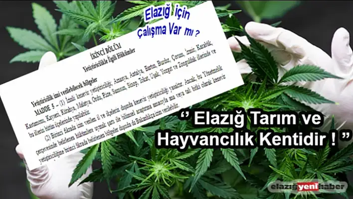 Madem Tarım Kentiyiz, Elazığ Neden Yok ?