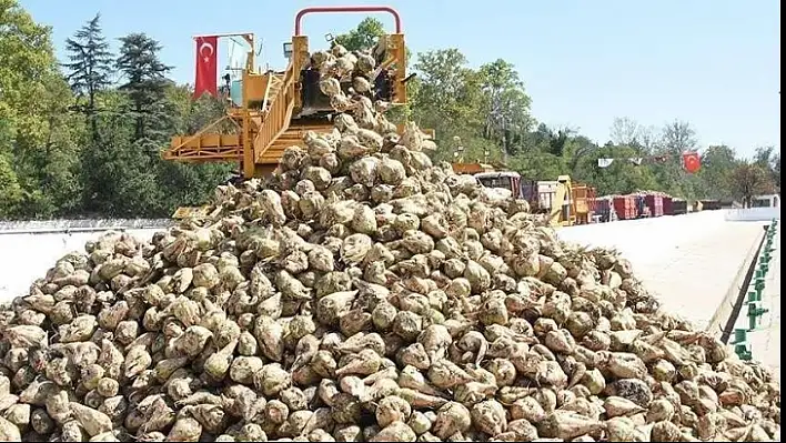 Şeker Fabrikaları Satışta