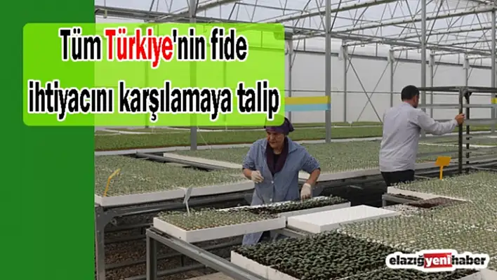 Tüm İhtiyacı Karşılamaya Talip