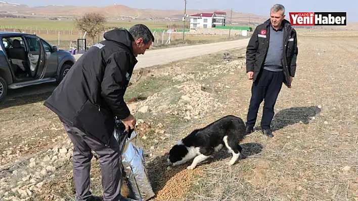 Elazığ İl Özel İdaresinden Hayvan Sevgisi