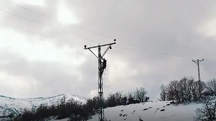 Enerji Timlerinin Kesintisiz Mücadelesi